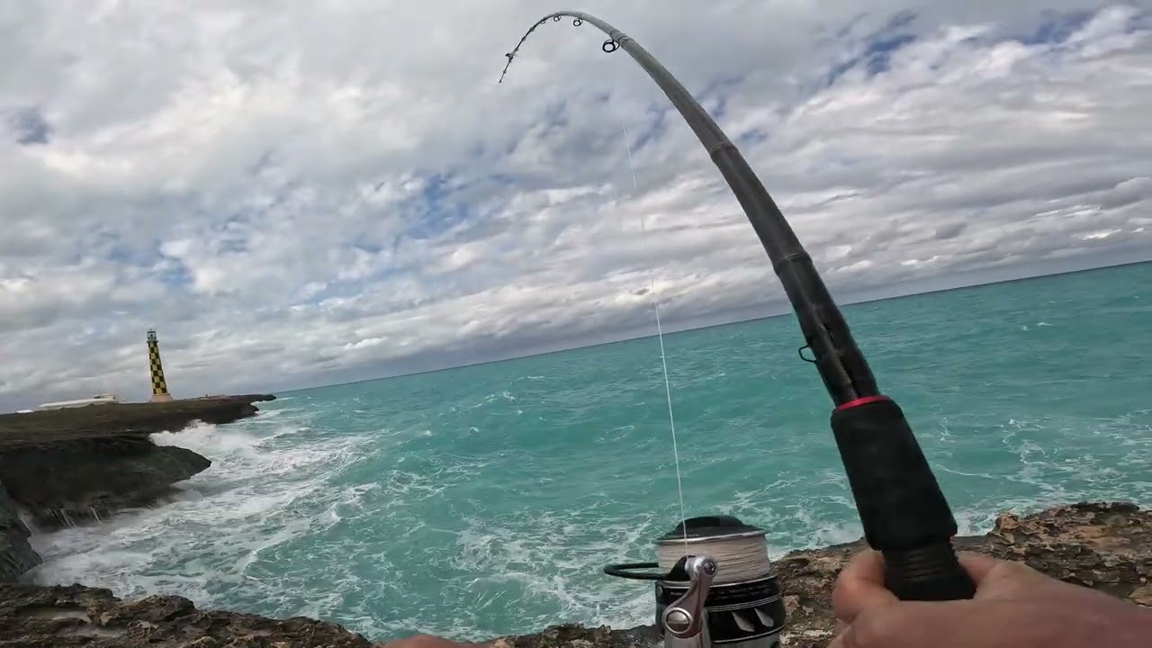Jack trevally  extreme fishing 🎣 on huge waves 