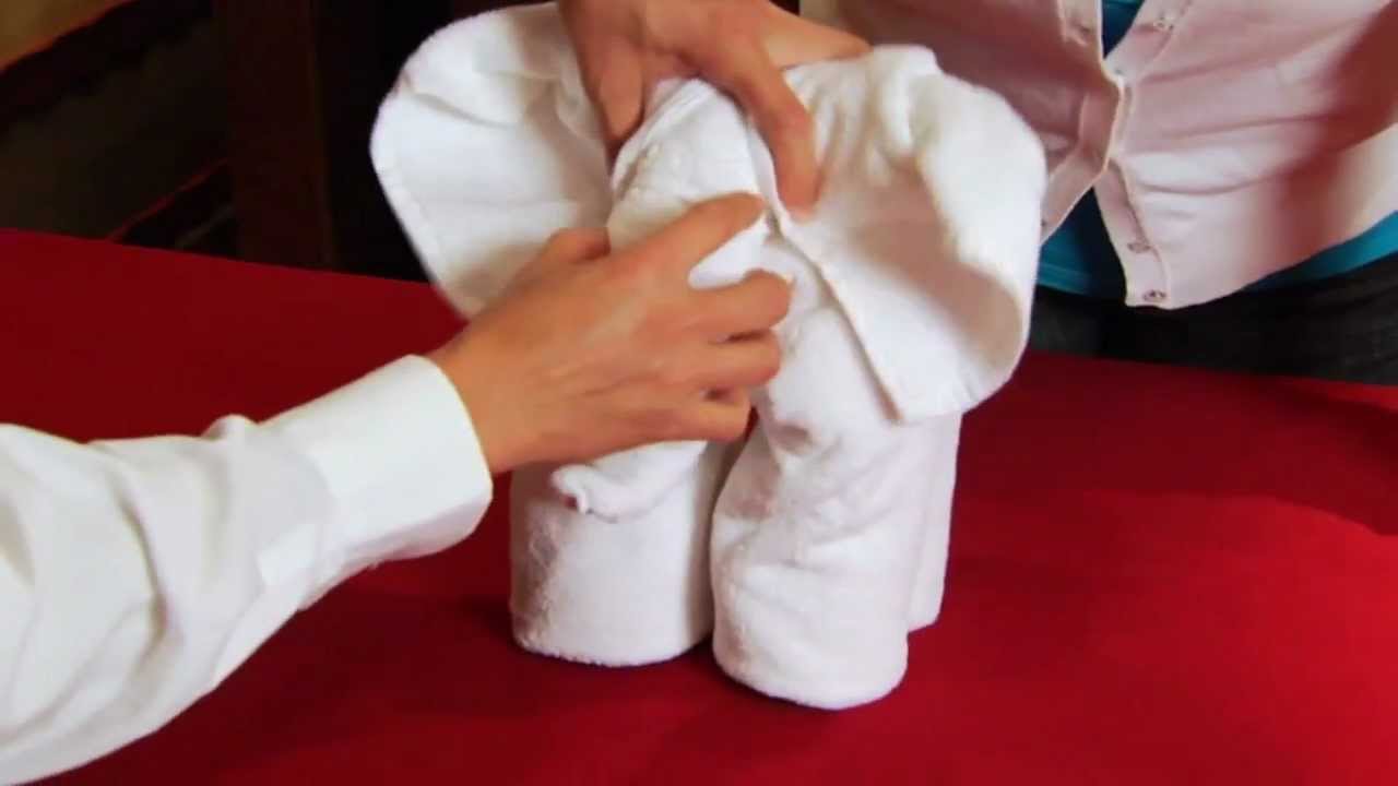 Learning How To Make Towel Animals on the Carnival Dream!
