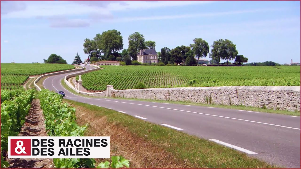 La route des Châteaux du Medoc