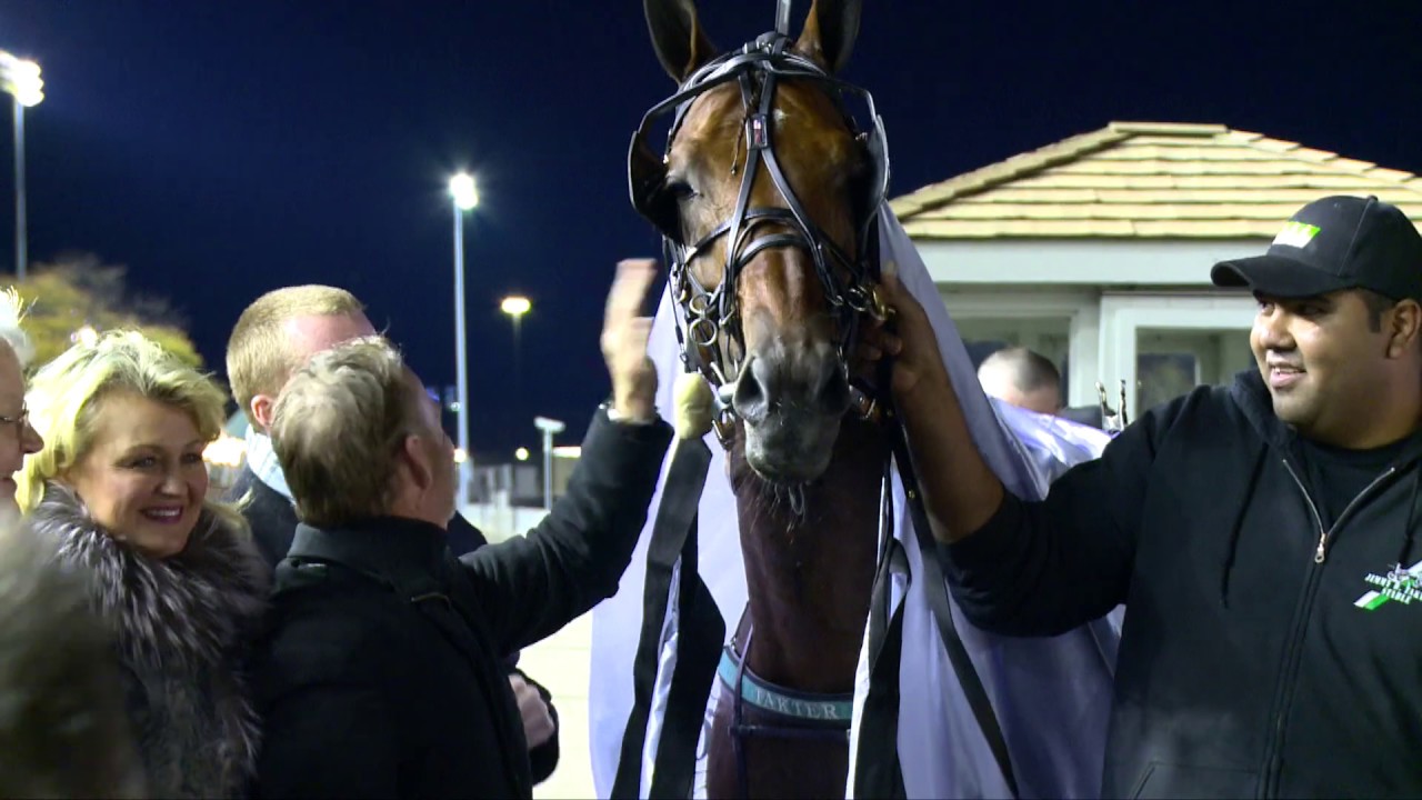 Breed Spotlight: Standardbred