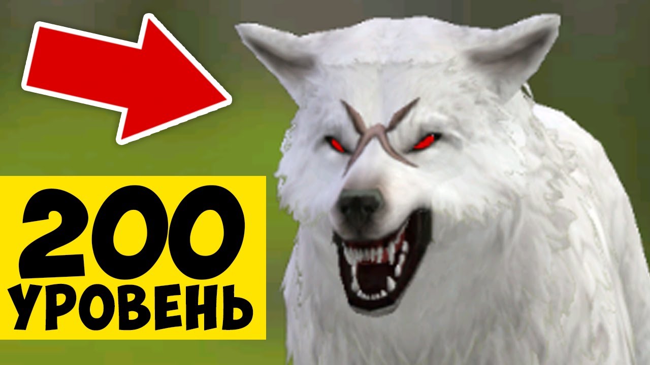 200 УРОВЕНЬ на ВОЛКЕ в WILDCRAFT