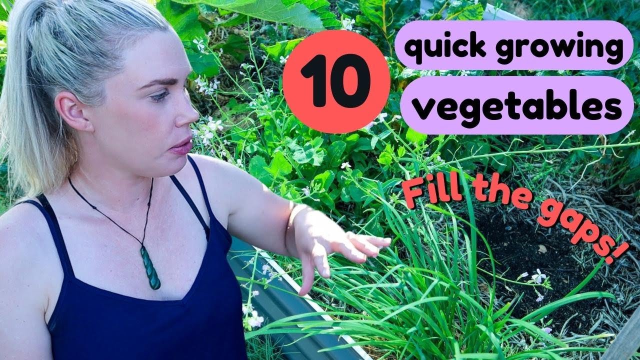FASTEST GROWING Vegetables to plant in Mid - Late Summer 🌱 EASY Direct Sow from Seed!