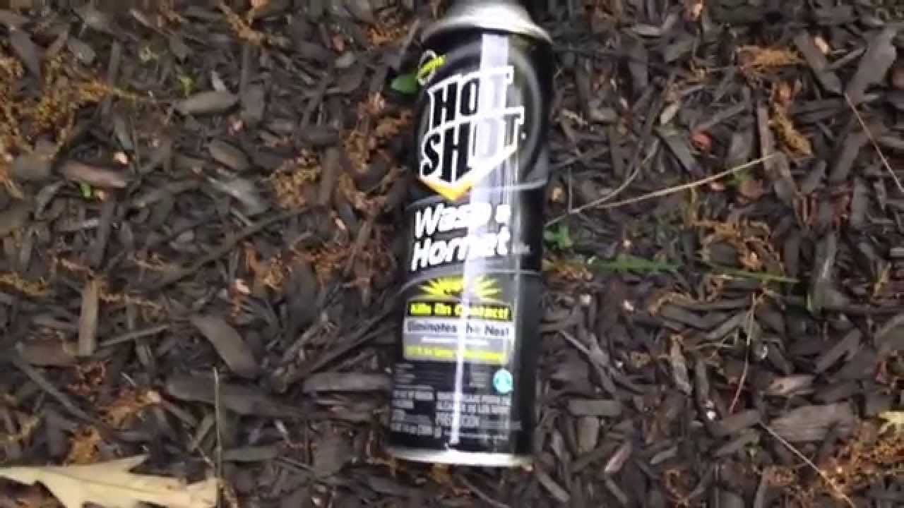 How To Kill A Bee Hive Nest With Spray and Also Get Attacked