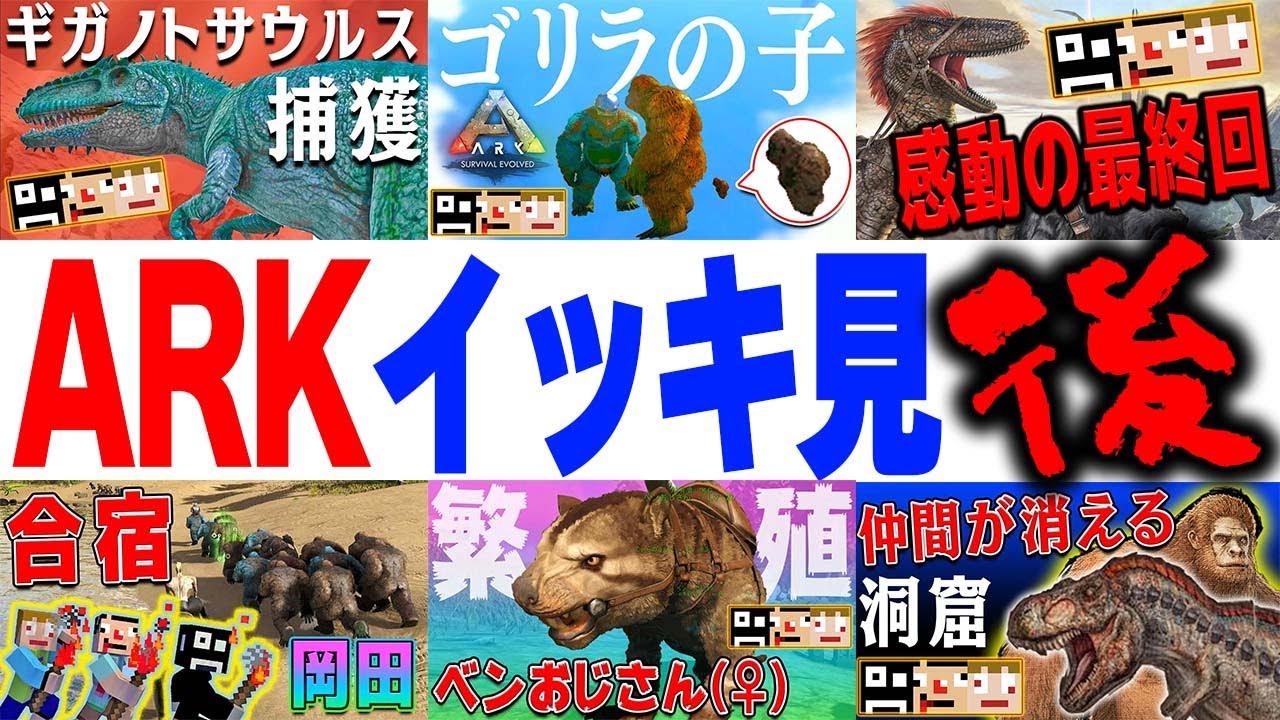 あくまで個人戦ARKイッキ見まとめ【後半】