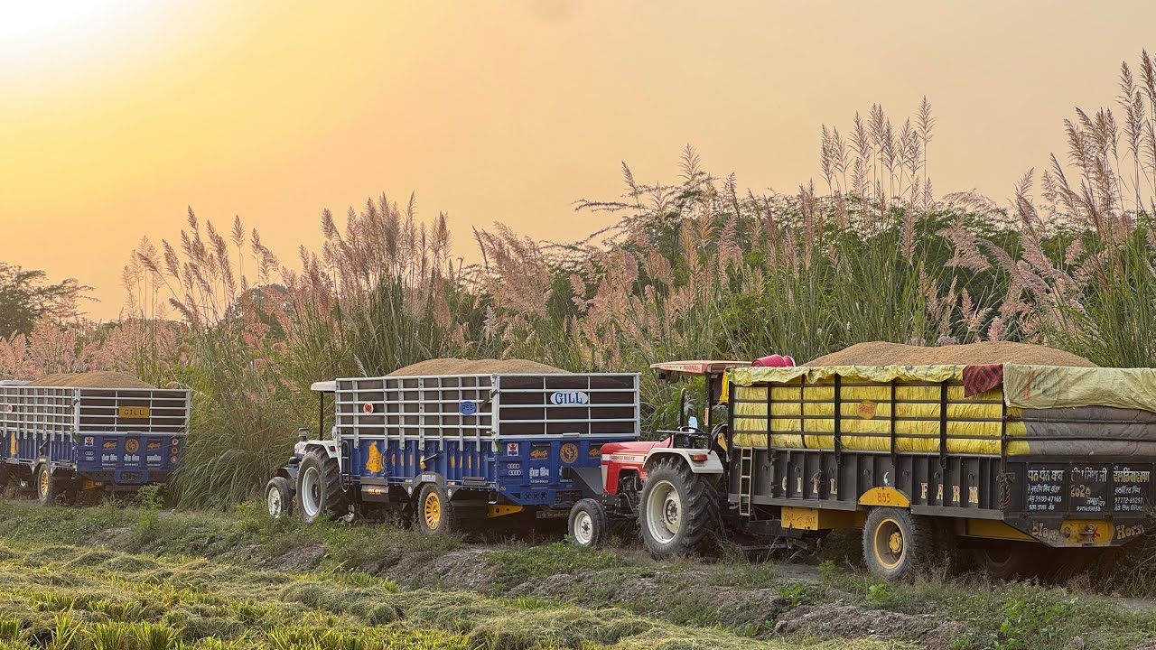 Dssyo kehra jyada jorr maarda aa. New Holland VS Swaraj VS mahindra. 