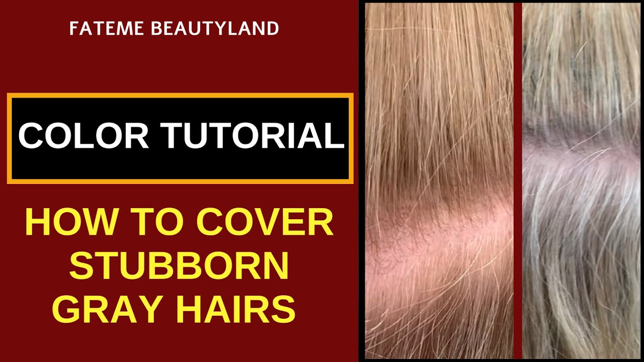 How To Cover Gray Hair with Light Color | Easy Step by Step Hair Tutorial