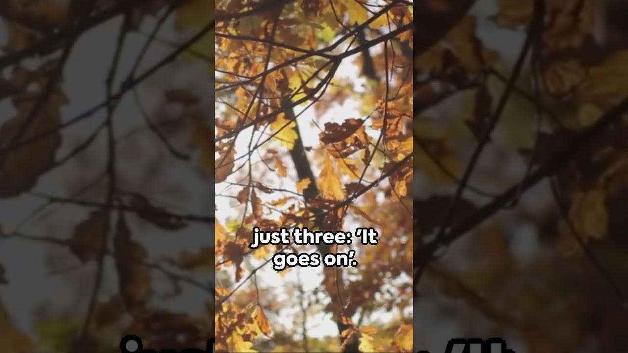 Life Goes On - Wisdom by Robert Frost #shorts