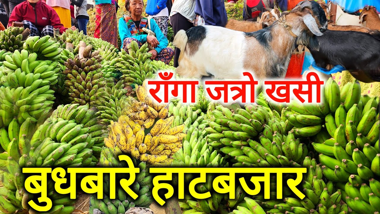 गाउँघरको लोकल अर्गानिक बजार ! दसै विशेष बुधबारे हाटबजार फलफूल तरकारी सारै सस्तो | खसी बोका झन् सस्तो