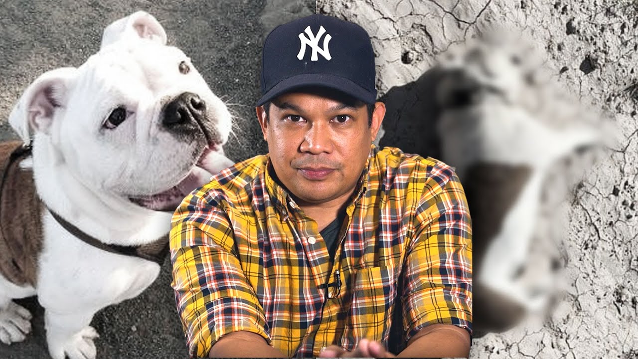 How Mo Twister&rsquo;s dog was stolen and murdered