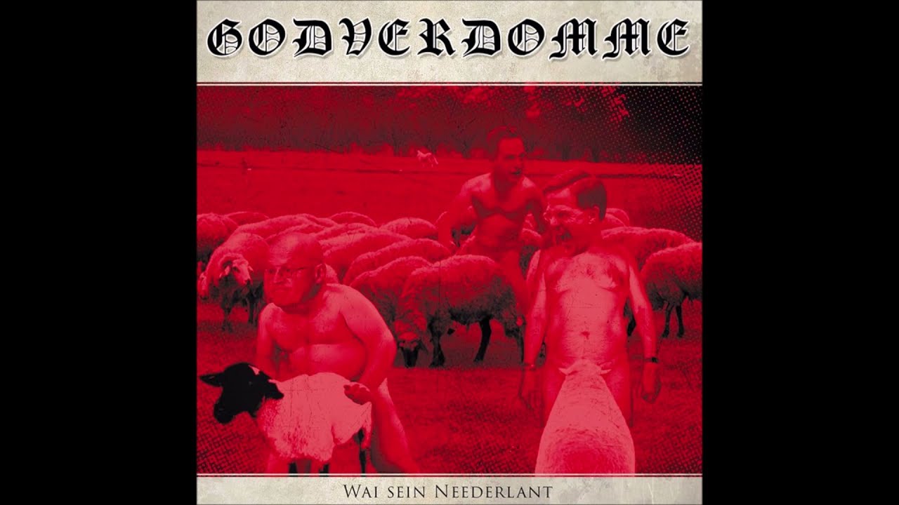 Godverdomme (Tim Steinfort Projekt) - Wai Sein Neederlant
