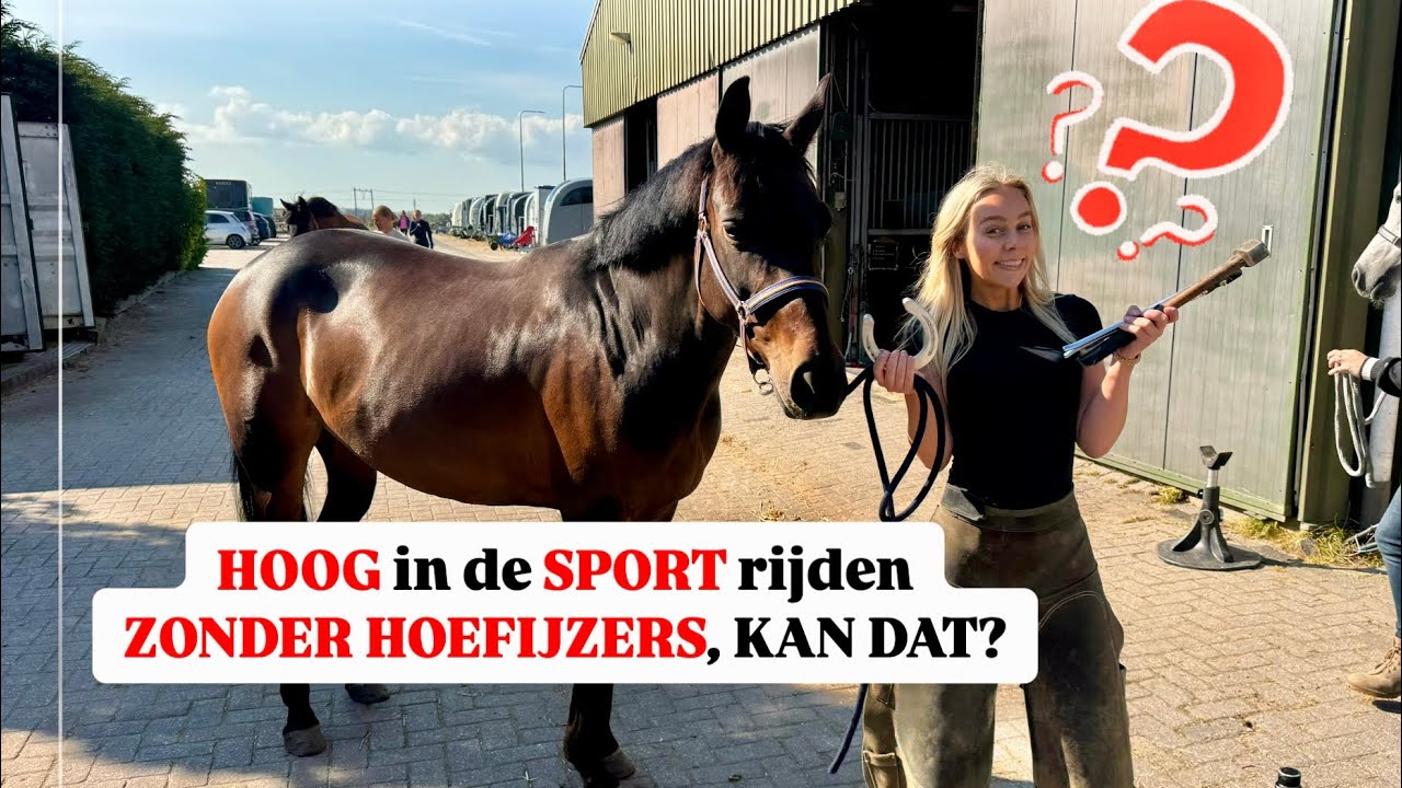 ZIJN HOEFIJZERS SLECHT? Mijn HOEFSMID legt je ALLES UIT!