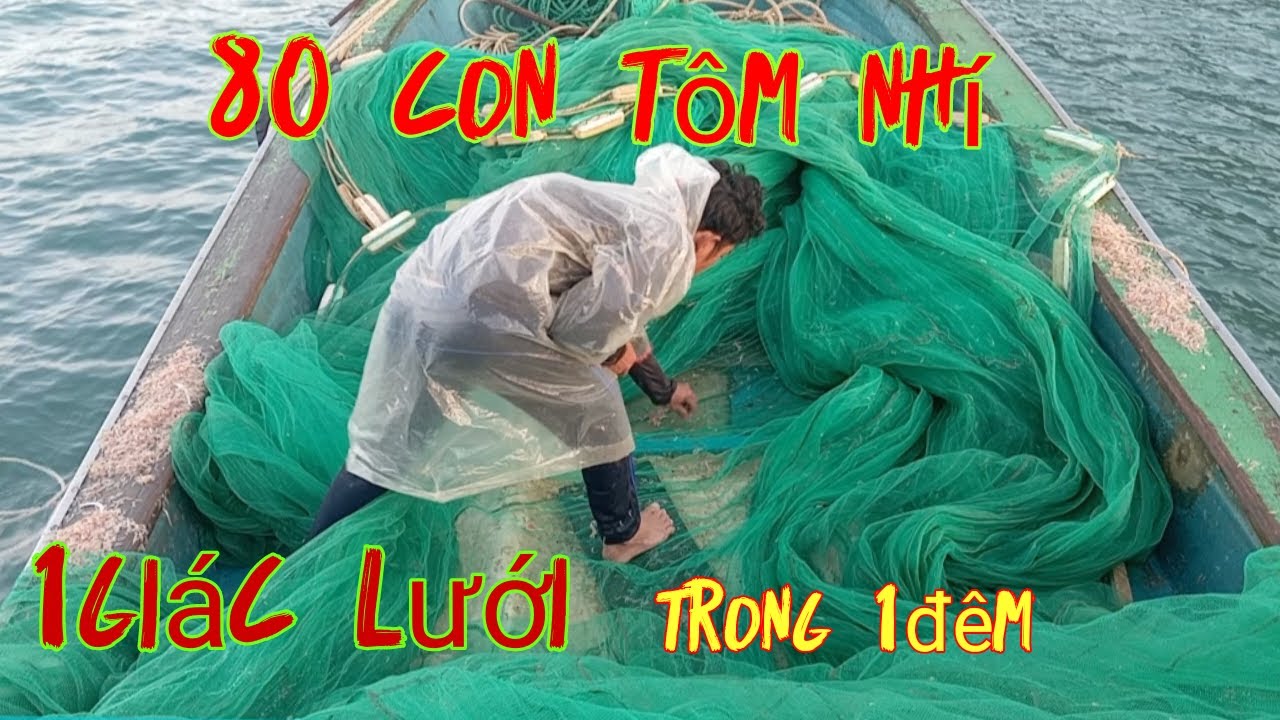 Tiếp tục đăng mành bắt tôm ngày tiếp theo
