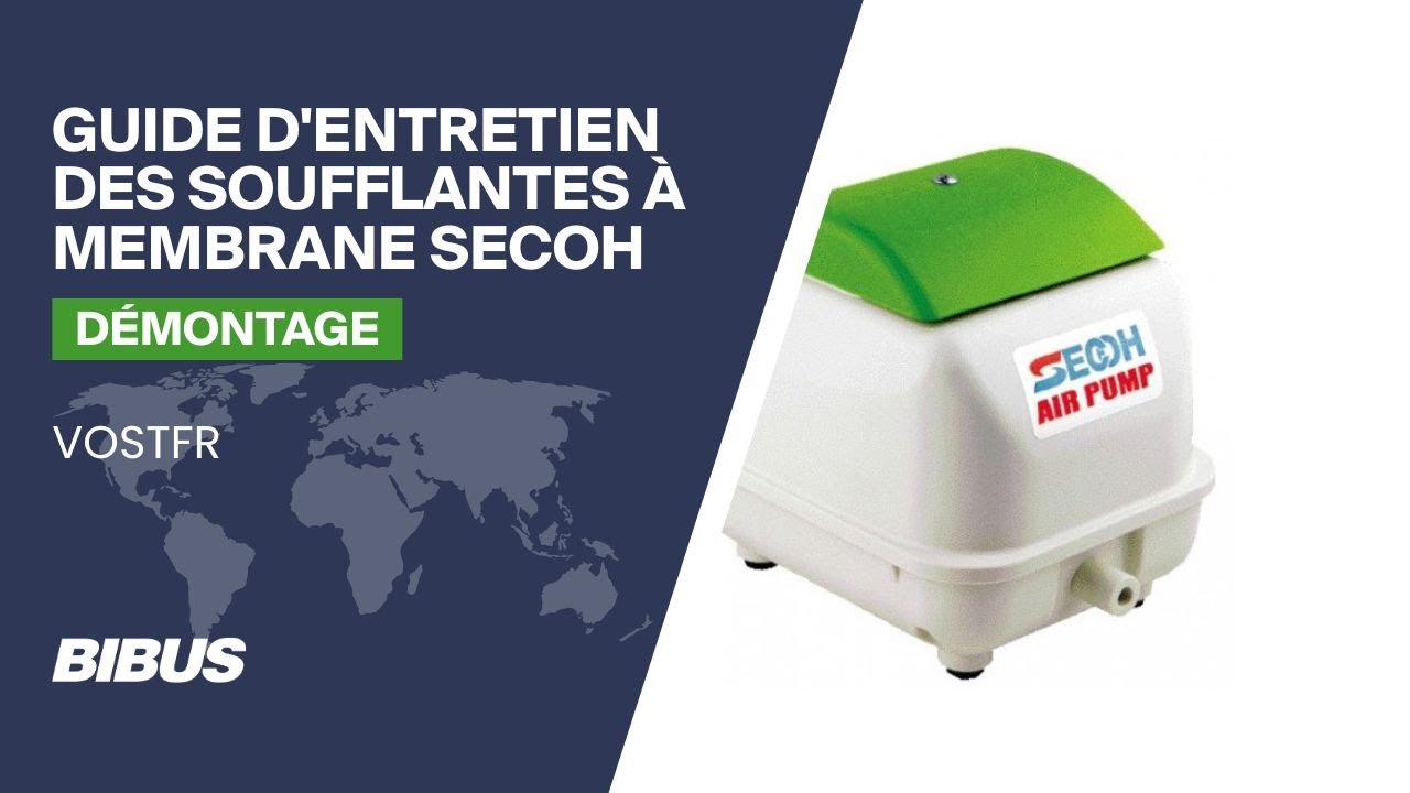 Guide d'entretien des soufflantes à membrane SECOH  - Démontage
