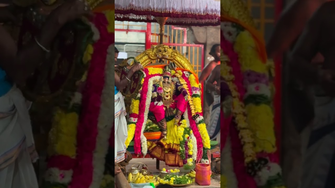 #2026 #margazhi #aandal #thirupavai #chengam 