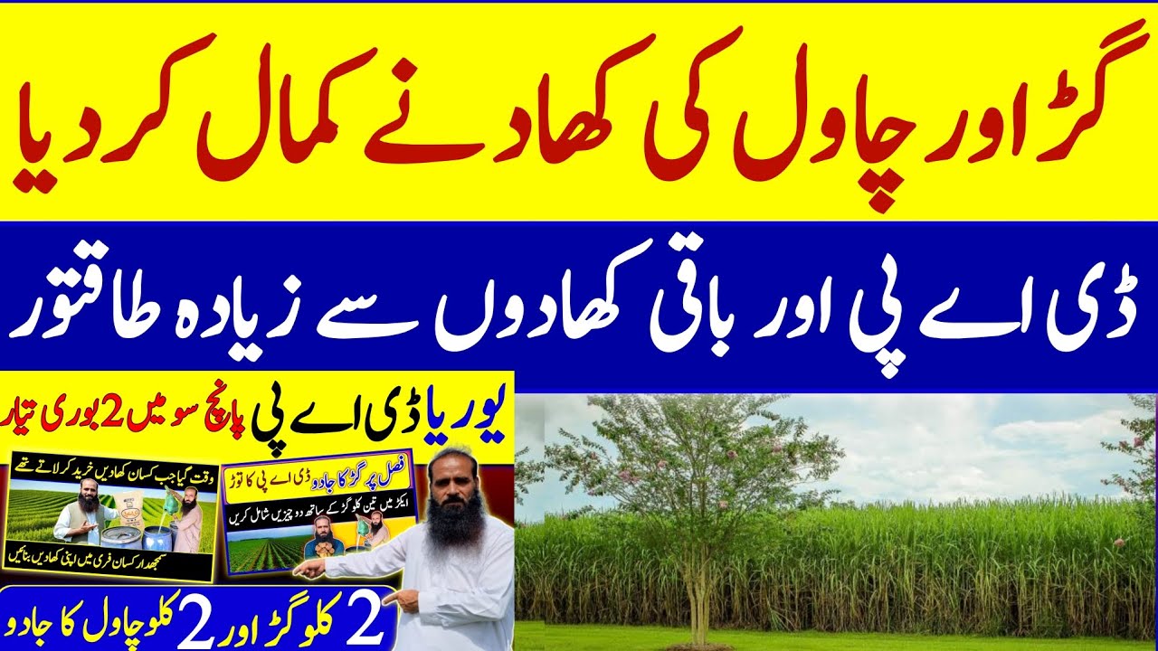 Organic Fertilizer | Jaggery | Rice water |@ATCOrganic