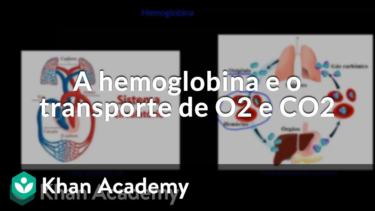 A hemoglobina e o transporte de O2 e CO2