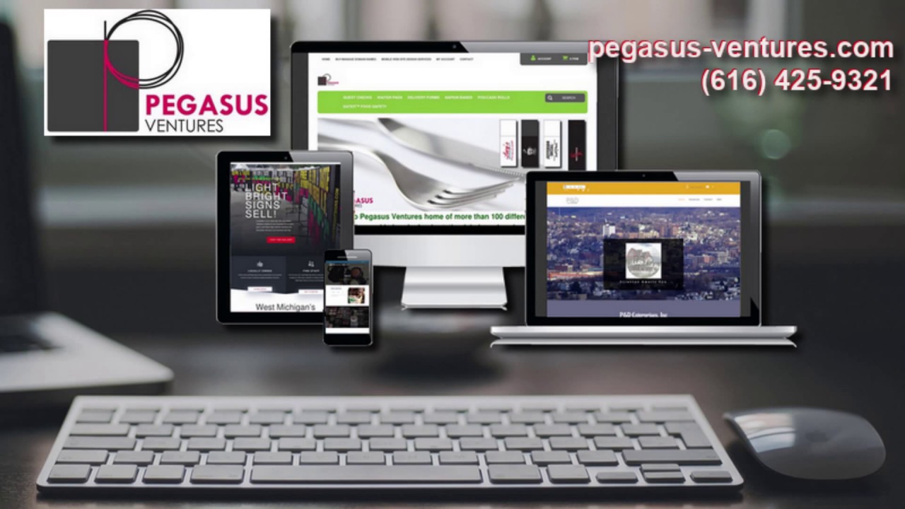 Pegasus Ventures Michigan web designer and developer