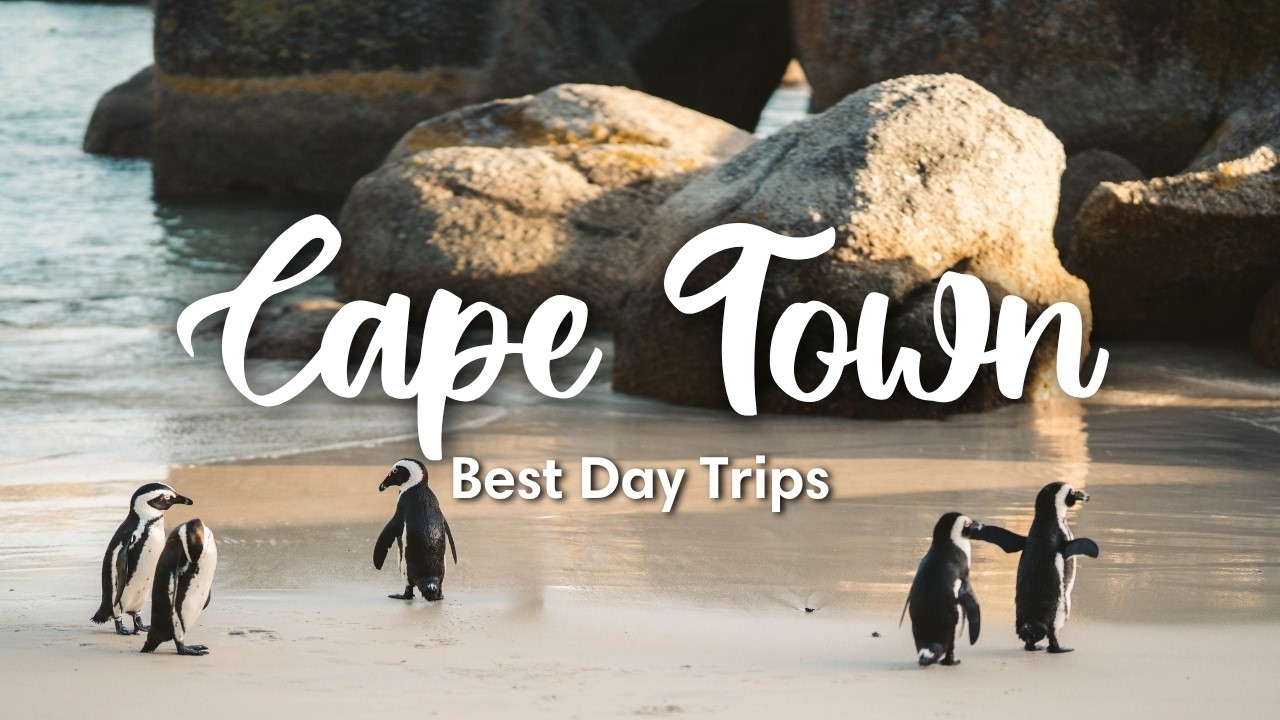 CAPE TOWN, SOUTH AFRICA (2026) | Best Day Trips From Cape Town