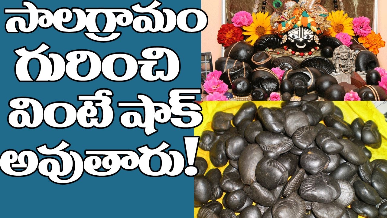 అసలు సాలగ్రామము అంటే ఏంటో తెలుసా? | DO YOU KNOW WHAT IS SALAGRAM IS MEANT FOR?