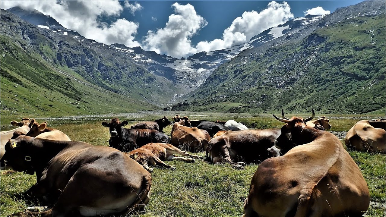 Malojapass, Alp Muot Selvas (2 070 m n. m.) MTB 2020