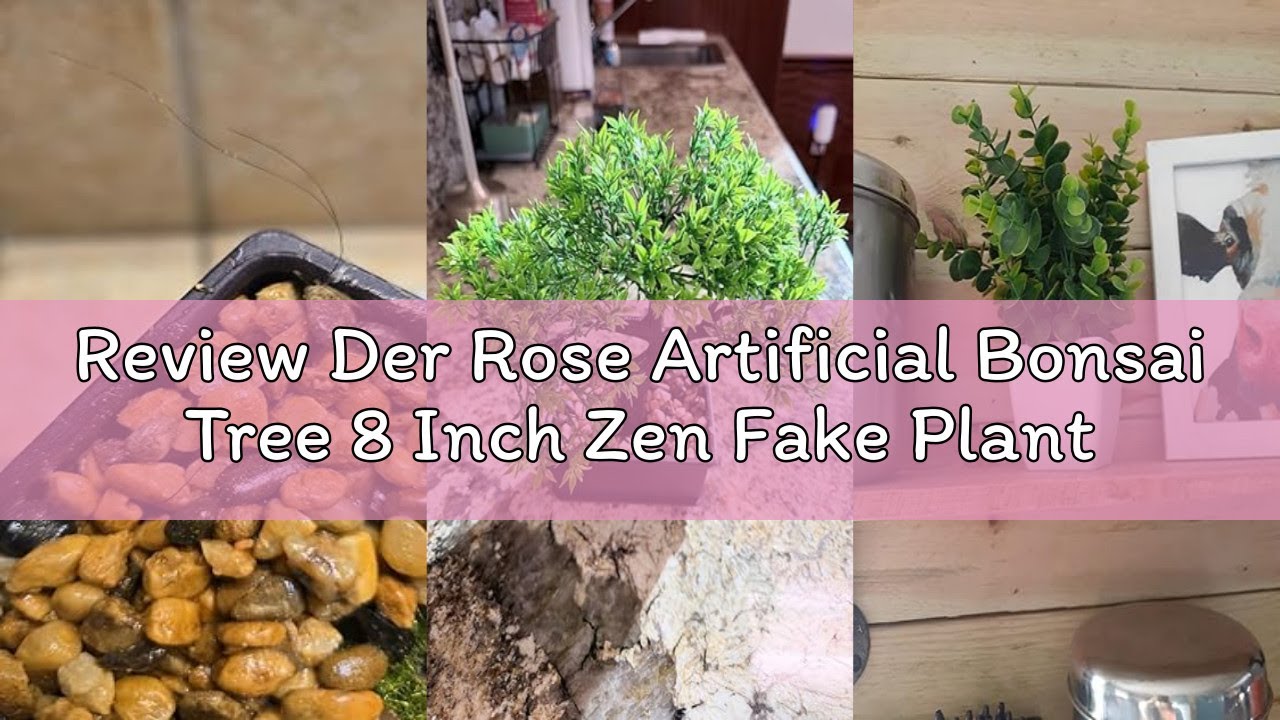 Review Der Rose Artificial Bonsai Tree 8 Inch Zen Fake Plant Modern Shelf Office Desk Decor Japanese