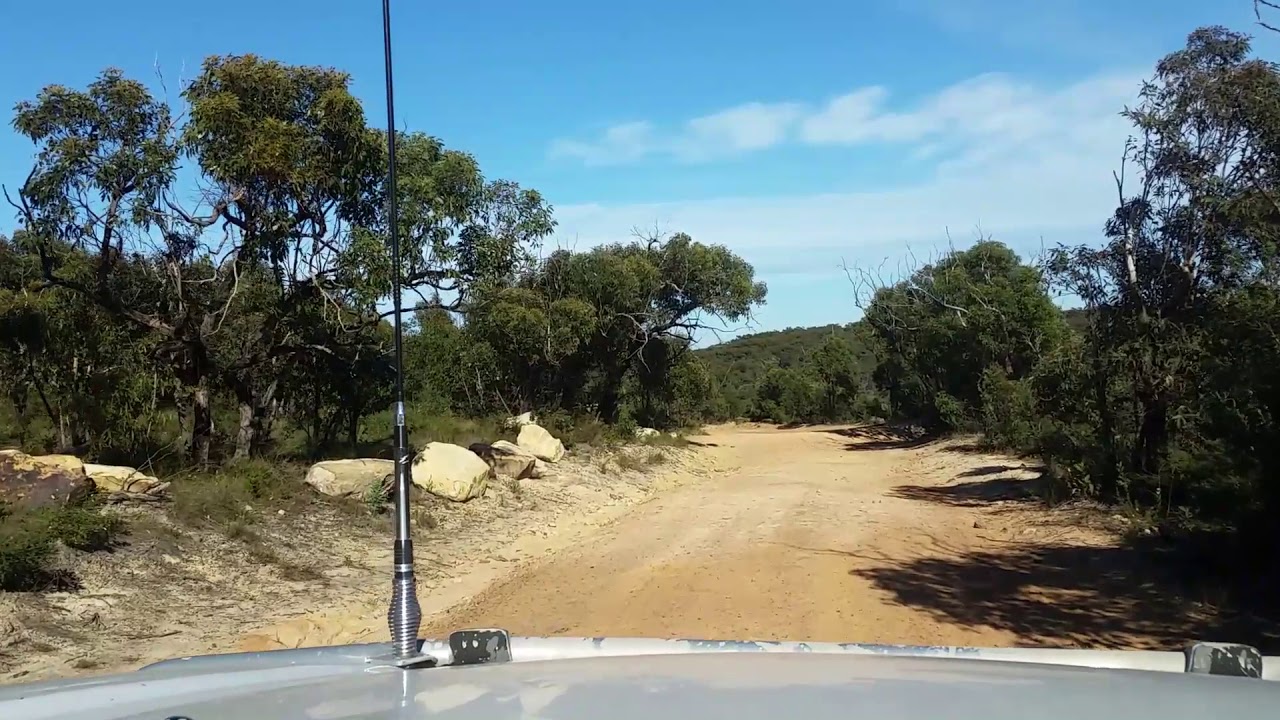 The drive in to Tallow Beach car park