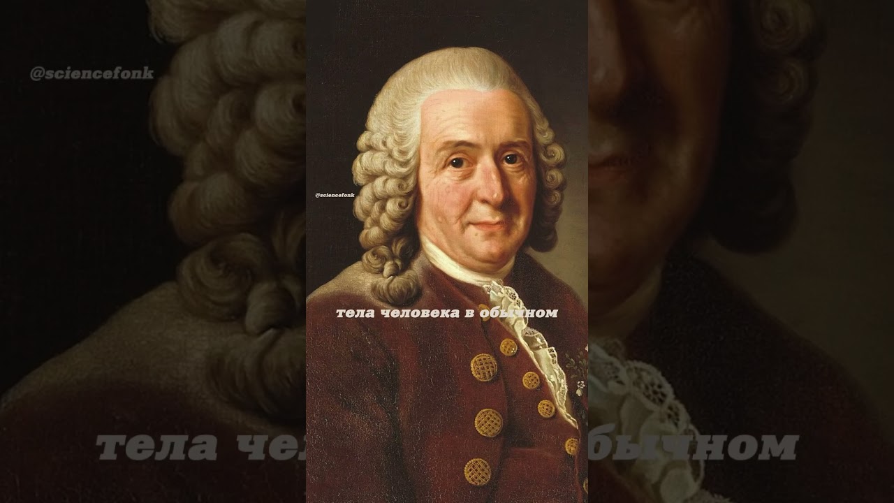 Порядок разложения. Алексей Решетун, Владимир Сурдин и Алексей Семихатов. #наука #science #shorts
