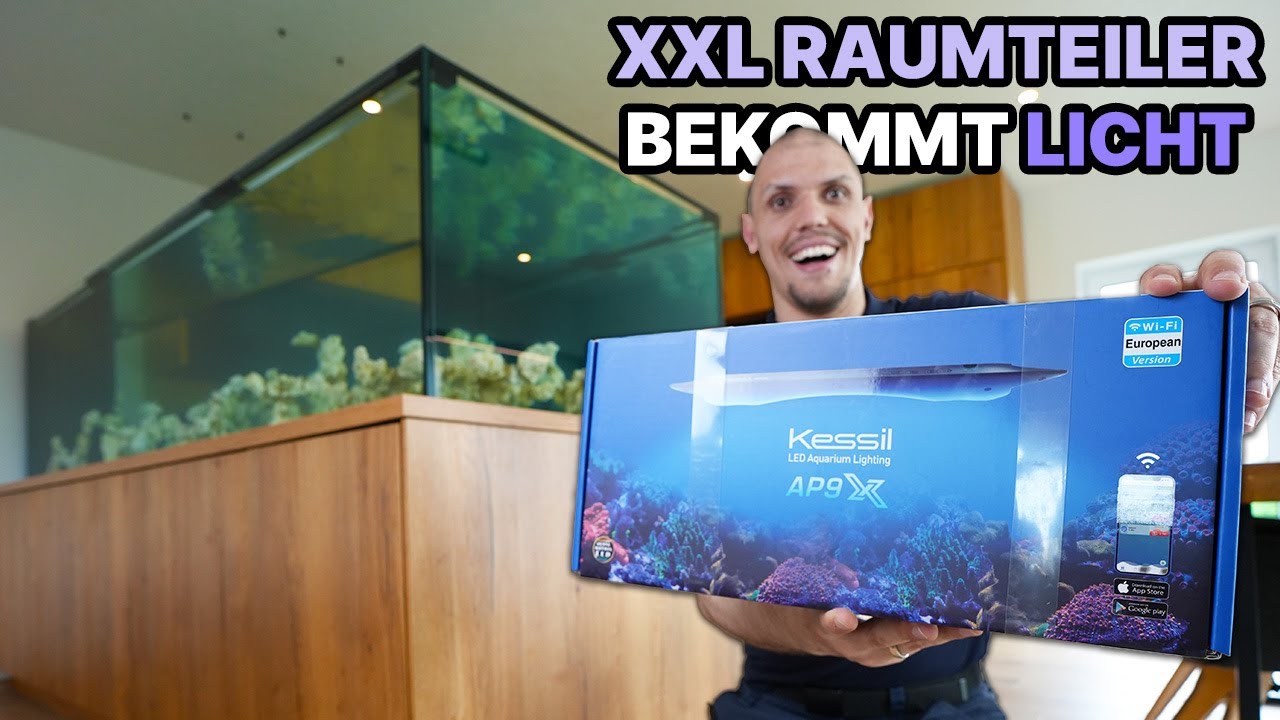 XXL Raumteiler-Meerwasseraquarium bekommt Licht -  Die Kessel AP9X
