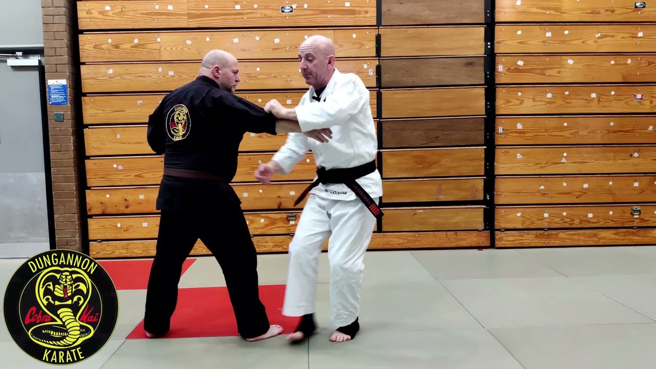 Applied Karate - Dealing with a Hook Punch using Chinto Kata Applications