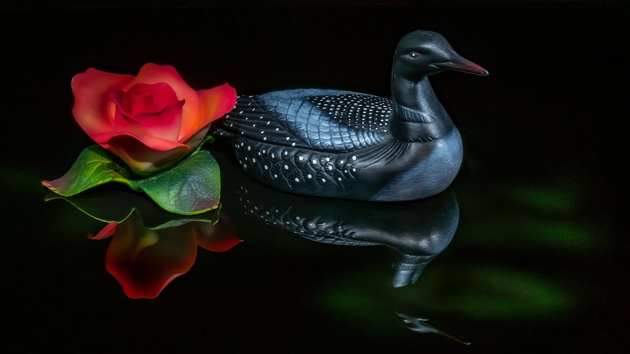 Olympus Live Composite Mode Demo