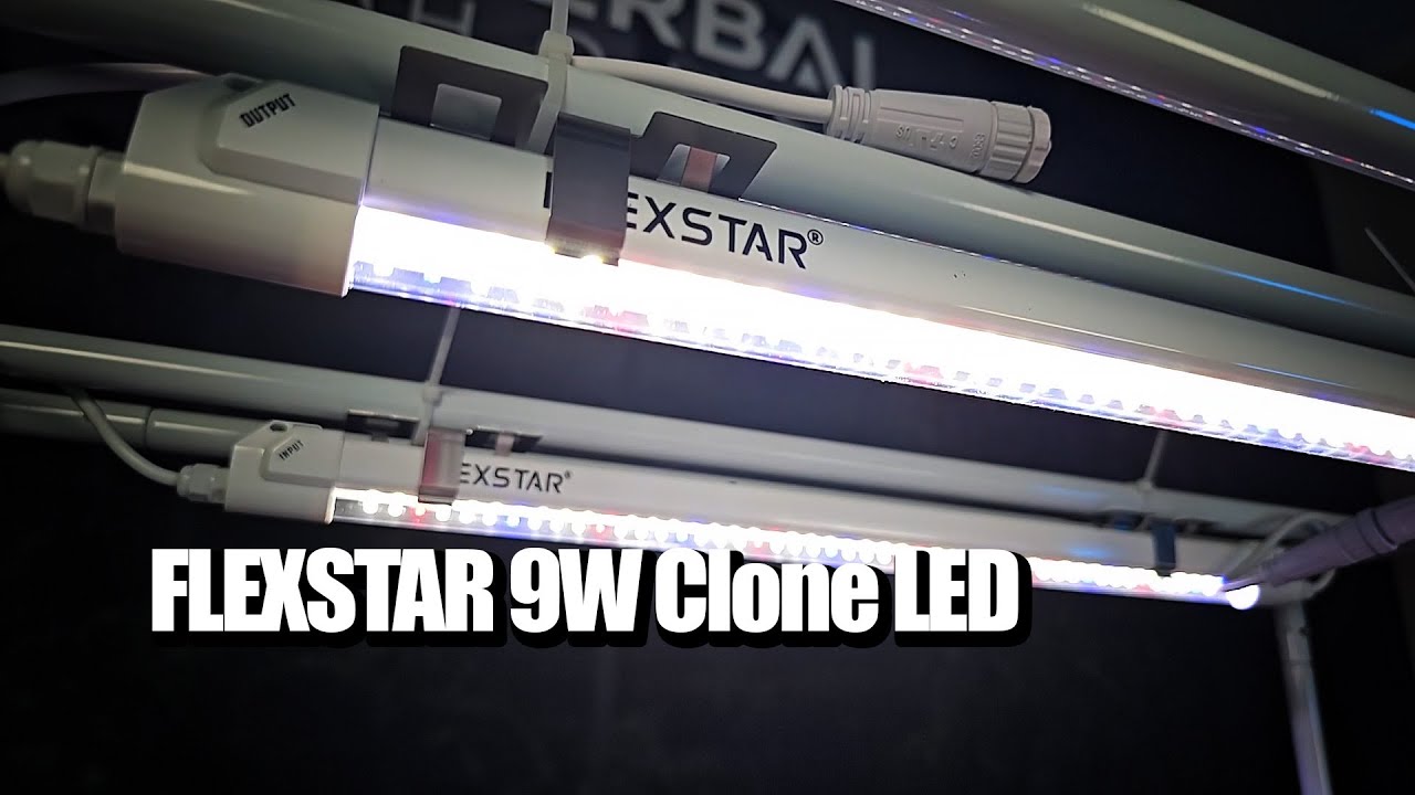 FLEXSTAR 9W Clone LED | Herbal House
