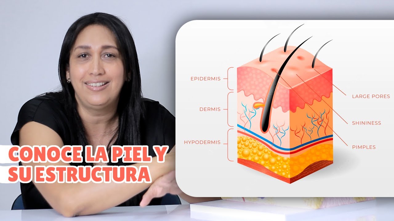 Conoce La Piel 🤲 & Su Estructura #EDES