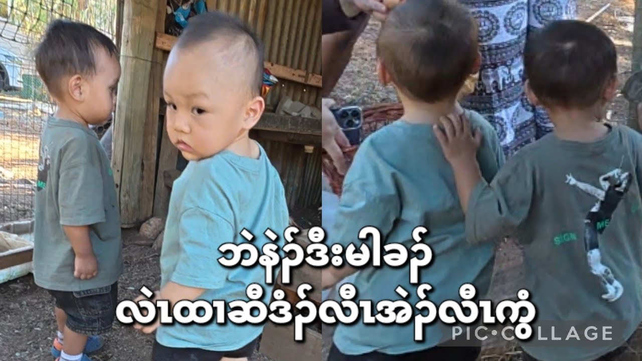  Bennet and Micah collecting eggs ဘဲနဲၣ်ဒီးမၣ်ခးလဲၤထၢဆီဒံၣ်