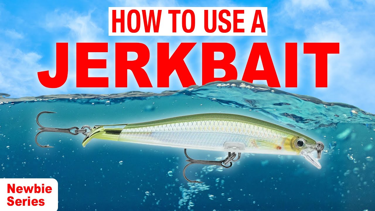 How To Use A Jerkbait | Newbie Fishing Series