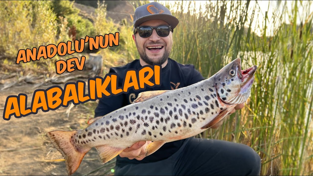 Dev Abant Alabalıkları Yakaladık! / En Güçlü Alabalık !! ft. 