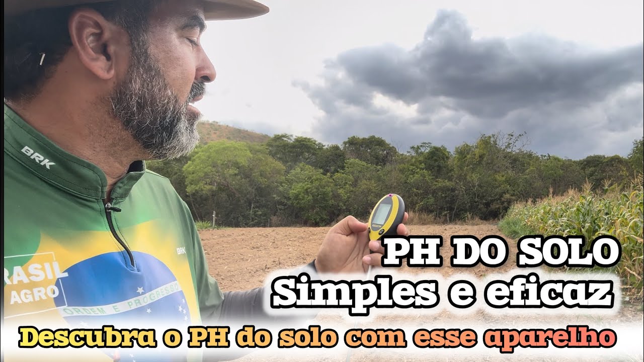 APRENA A MEDIR O PH DO SOLO EM CASA | VANTAGENS E FUNÇÕES DO CALCÁRIO 