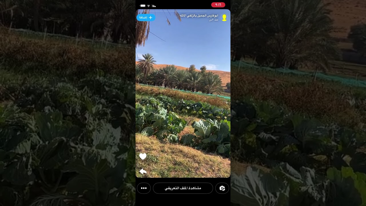 رفضت الزواج منه لأنه راعي اغنام فماذا حدث بعد ذالك