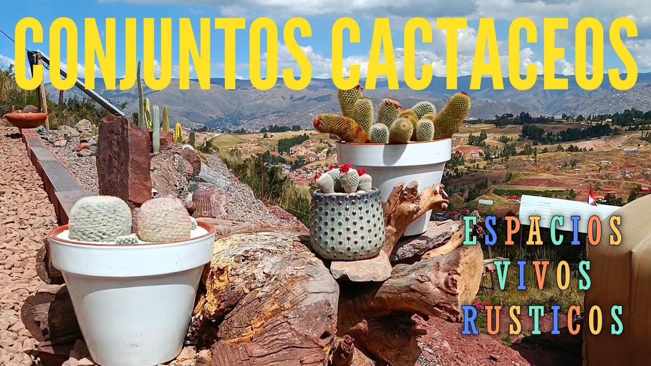 Mas conjuntos cactáceos en mejores espacios trabajados 