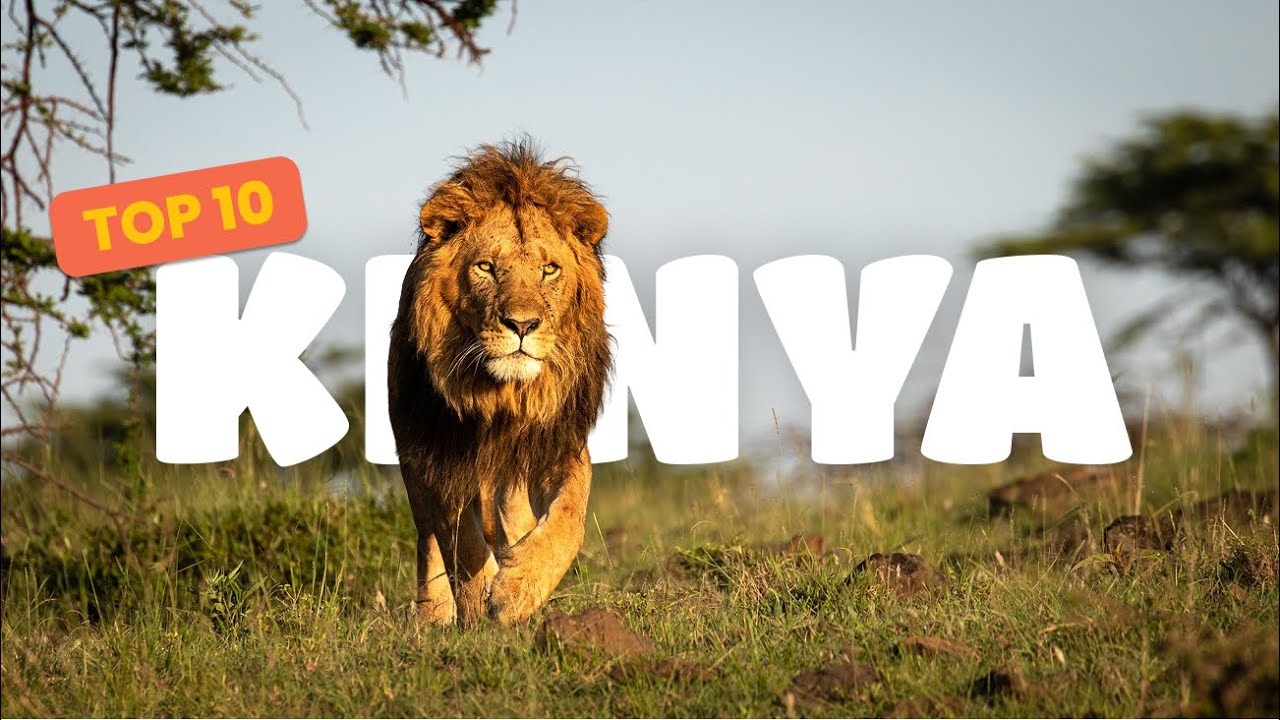 Top 10 des incontournables du Kenya