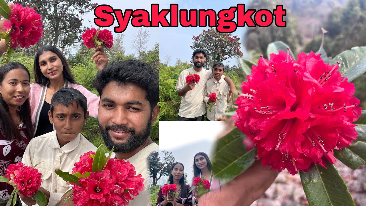 Syaklungkot view tower❣️🧿|| hamro gau ko ramailo thau aaja dherai barsha paxi feri pugiyo❣️#nature