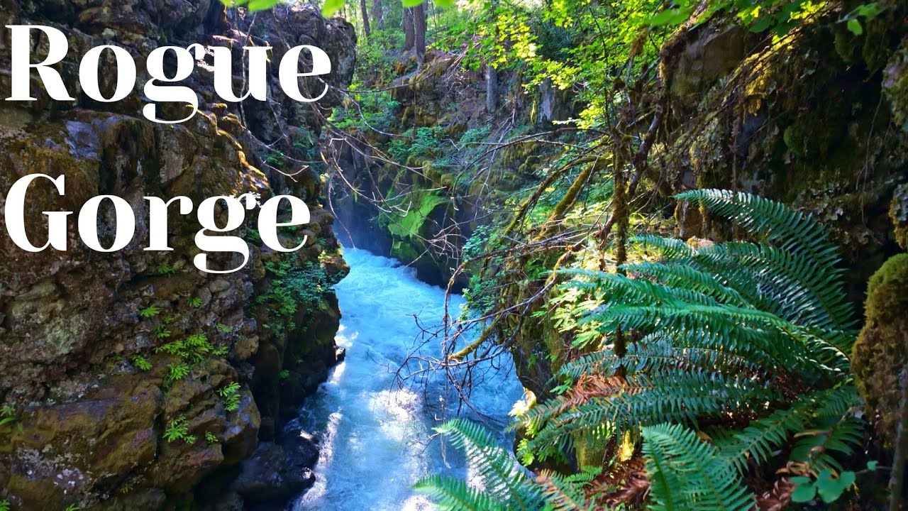 Rogue Gorge