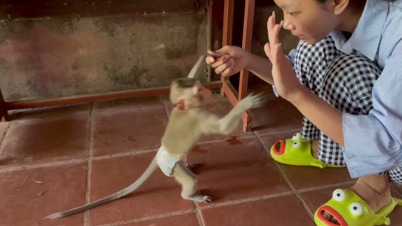 (Oh no..) Koy raise hand to reply mom ‘s advi..ee back 