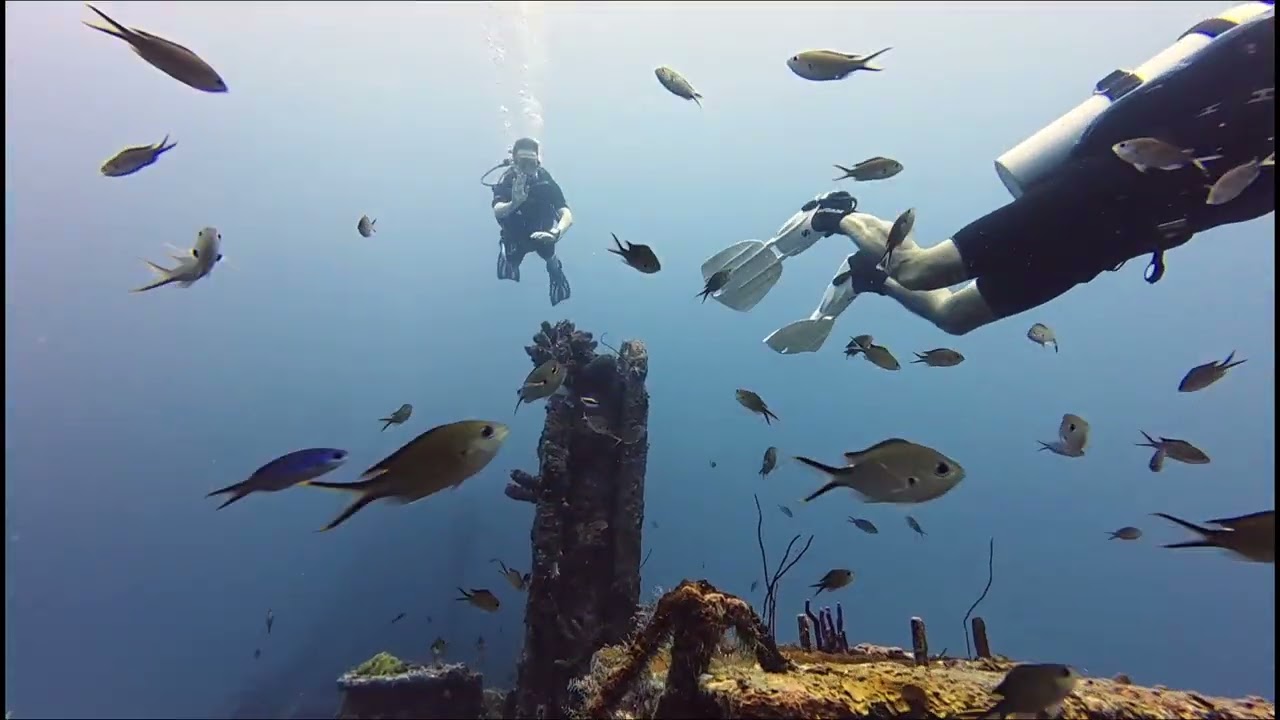 Superior Producer Curaçao februari 2026