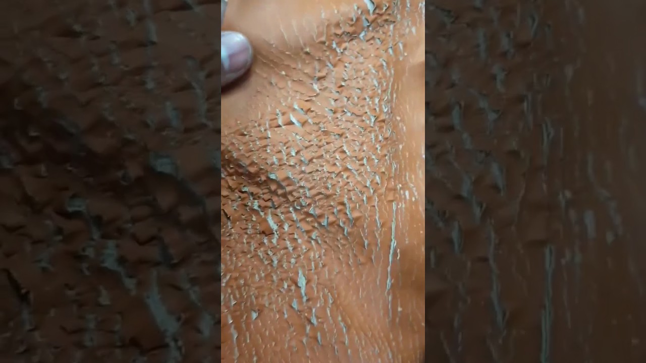 The harsh reality of artificial leather #leather #artificialleather #harsh #peeling #trending
