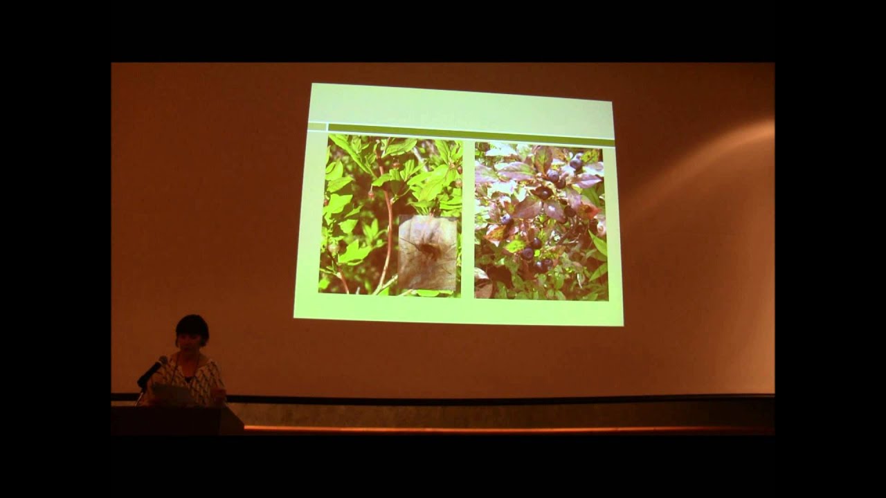 Biosemiotics and Ethnoecology: Prospective Synergies and Ethical Potentialities