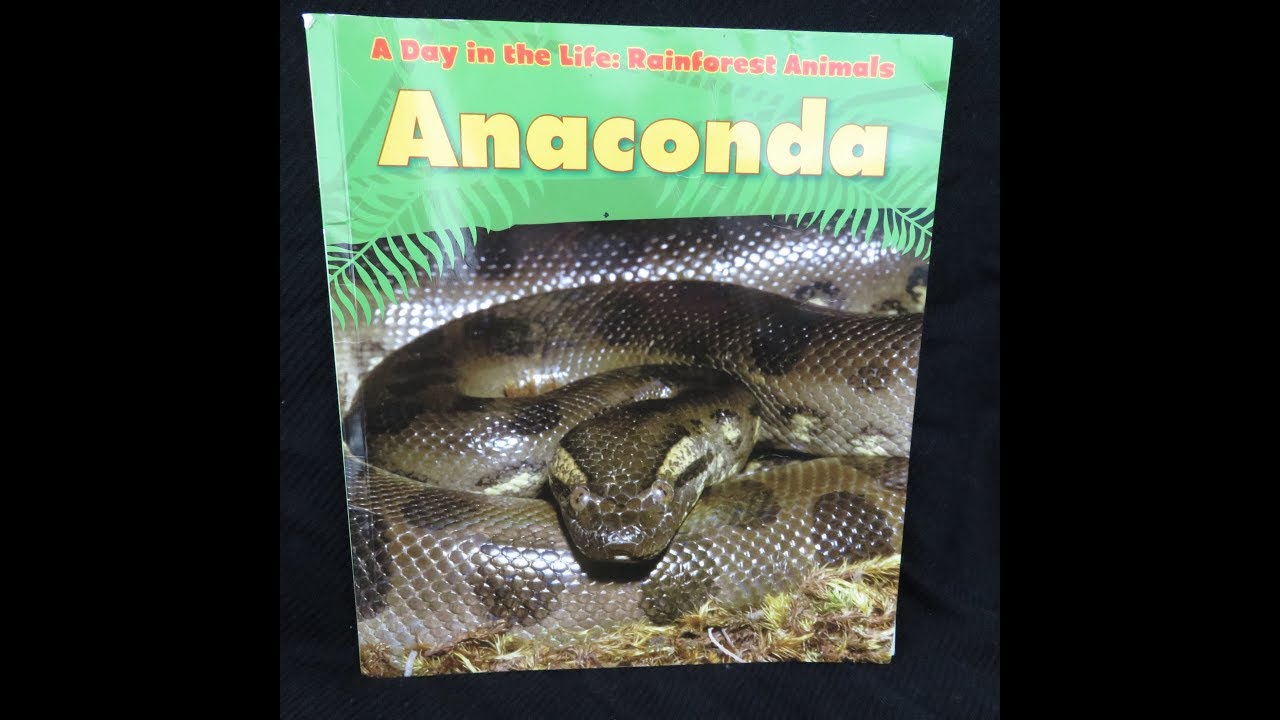 Anaconda - Give Us A Story!
