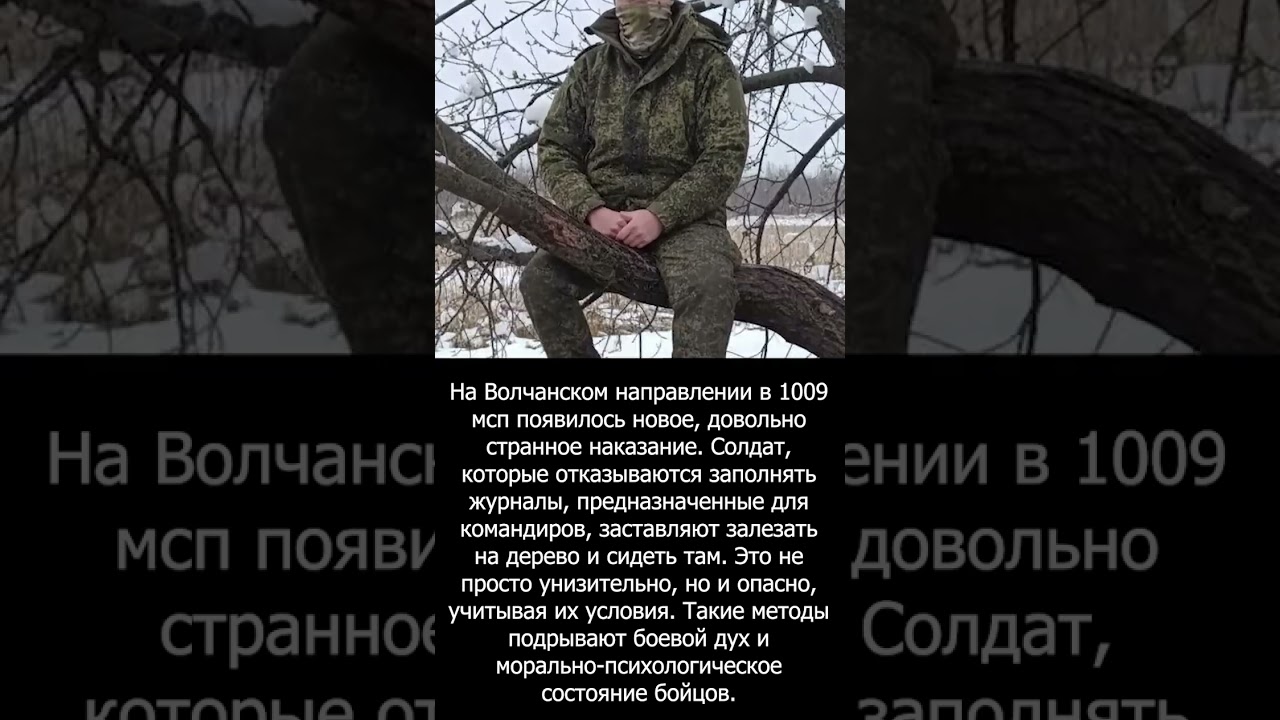 На дереве под Волчанском