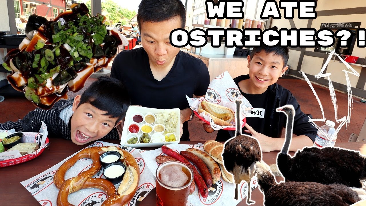 Amazing Santa Barbara and Solvang food adventure (Part 3) | Danish Food  | Feeding Ostriches!!
