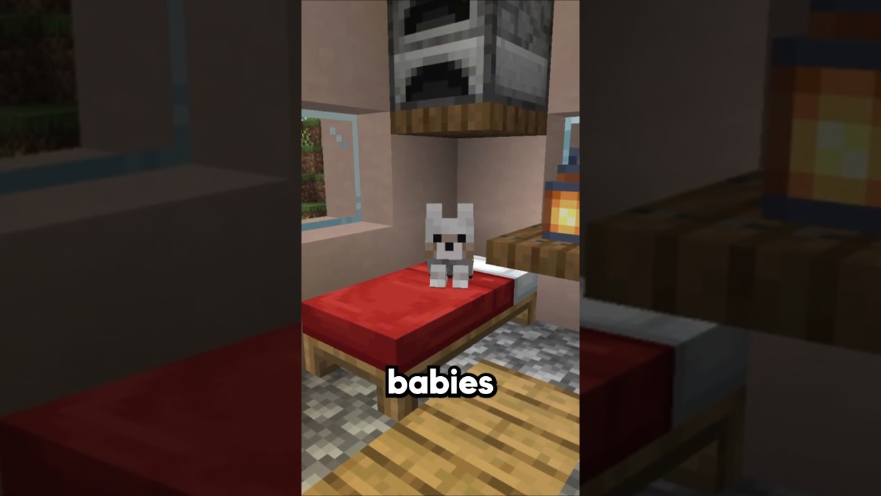 New Item and Mobs in Minecraft