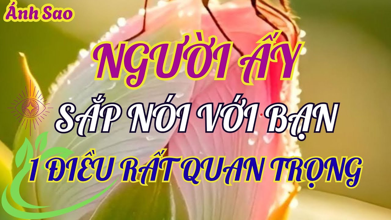 Người ấy sắp nói với bạn một điều RẤT QUAN TRỌNG 💖 tarot